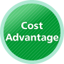 Cost Advantage